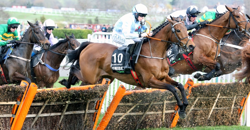 CHELTENHAM CABBIE LOSES LICENCE OVER BALD TYRES AFTER GOLD CUP CHECK