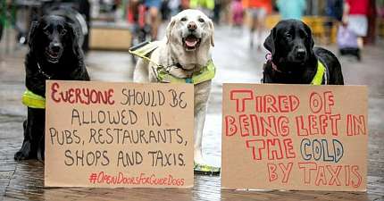 CHESTER TAXI DRIVER FINED FOR REFUSING SERVICE TO GUIDE DOG OWNERS