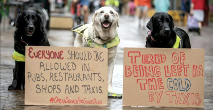 WIRRAL CABBIE TO PAY 760 FOR REFUSING BLIND WOMAN WITH HER GUIDE DOG