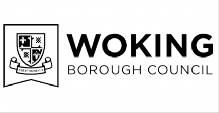 WOKING COUNCIL SEEKS VIEWS ON WHEELCHAIR TAXI EMISSION RULES